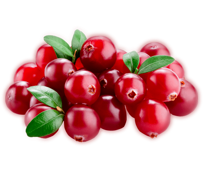 Prostamin Forte contains cranberries